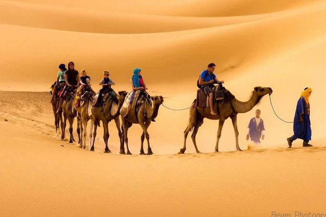Best 3 day desert tour from Marrakech